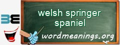 WordMeaning blackboard for welsh springer spaniel